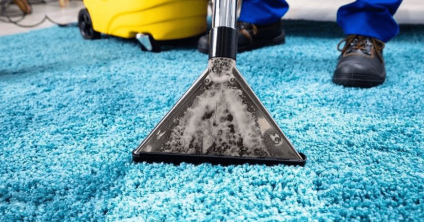 The Cost of Carpet Cleaning Services: Is It Worth It?