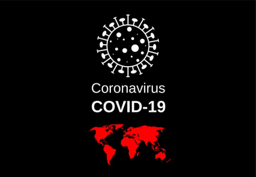 Latest News and Updates on COVID-19 in 2024