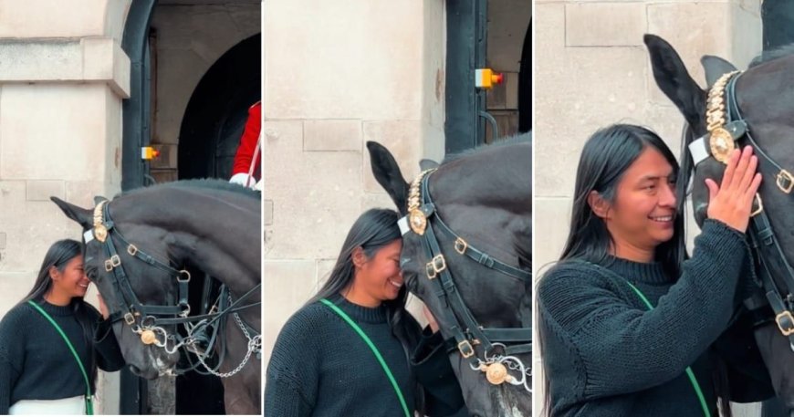 Woman Starts Patting Royal Horse in London. His Reaction Left Everyone Feeling Mushy