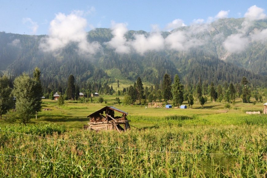 Guide to Nishat Bagh and its Royal heritage in Kashmir