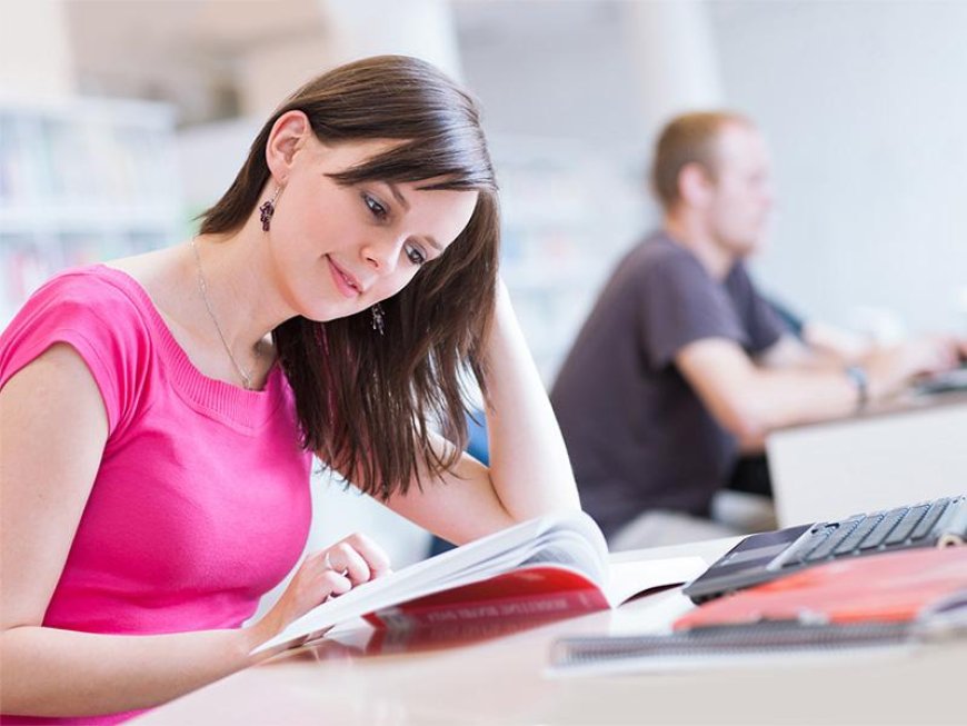 Why Do Students Use Essay Writing Services?