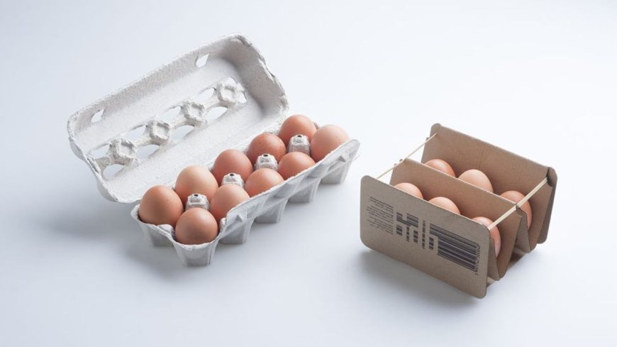 The Importance of Egg Boxes in Modern Packaging