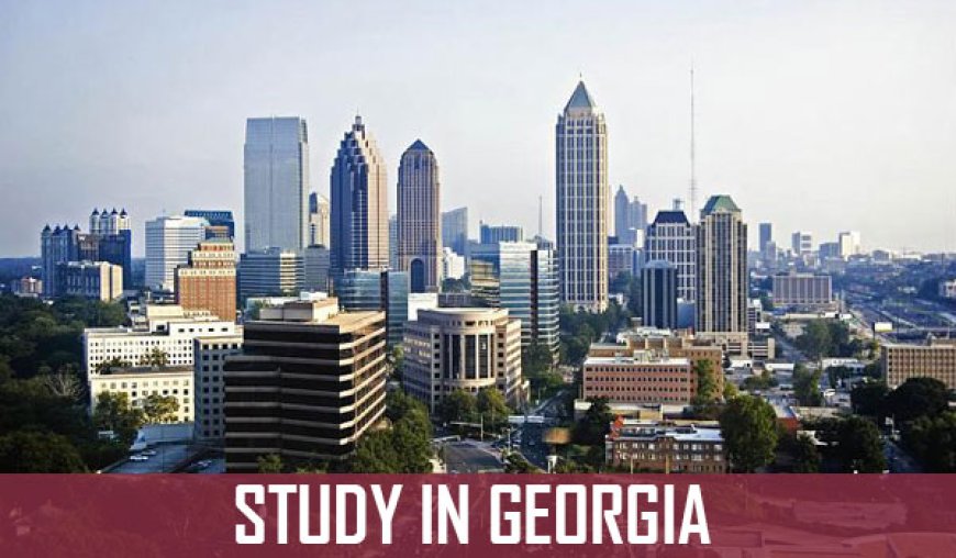 Preparing for Your First Year at Georgia Medical University: What to Expect