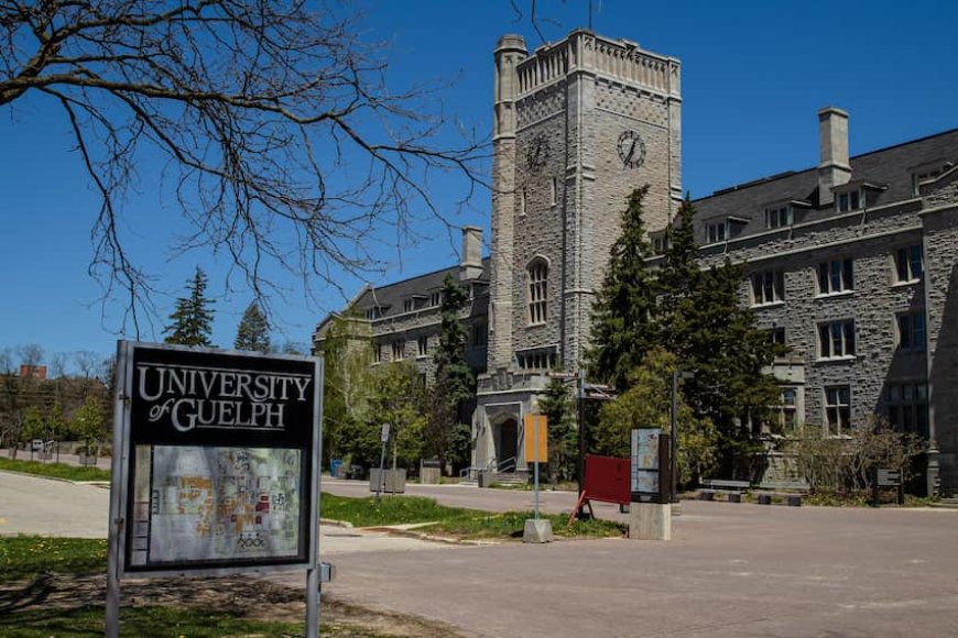 Why Should You Choose University of Guelph