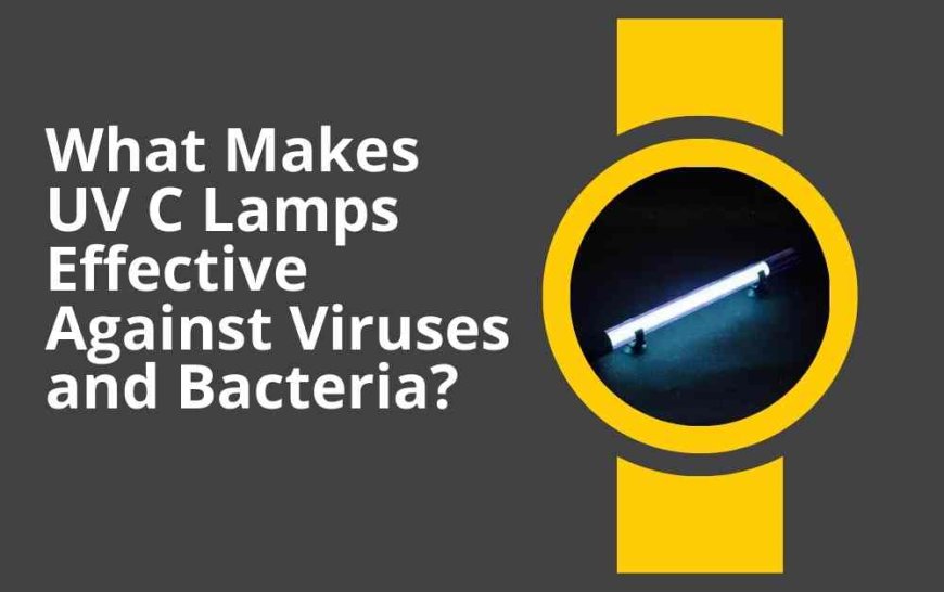 What Makes UV C Lamps Effective Against Viruses and Bacteria?