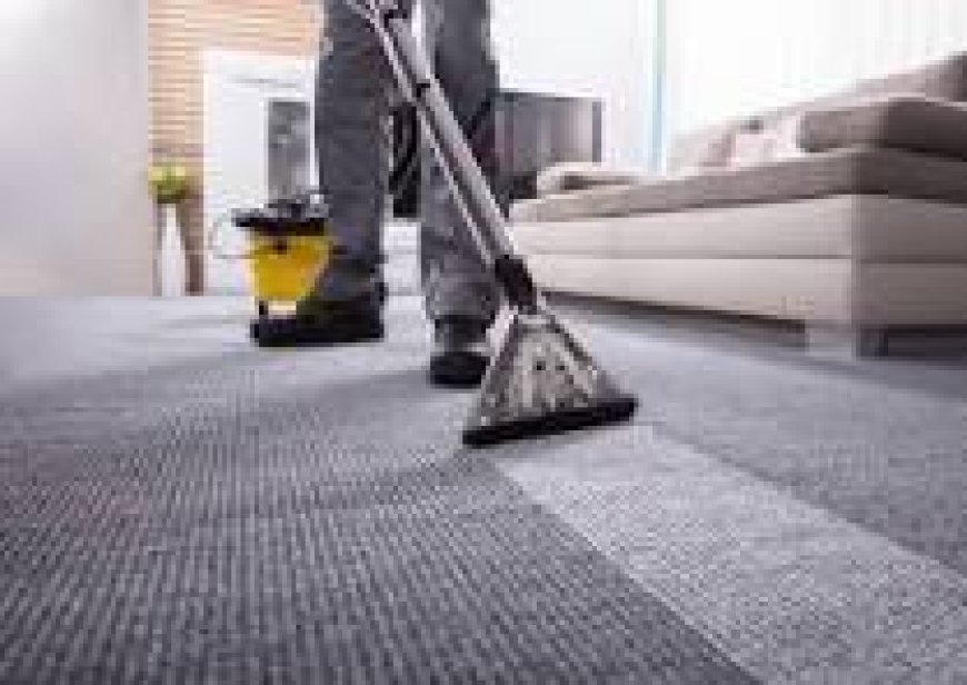 Elevate Your Living Space with Expert Carpet Cleaning