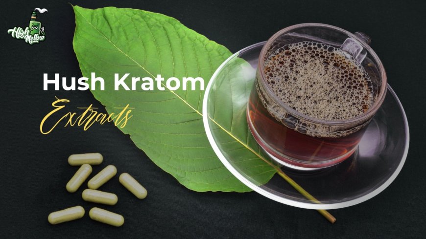 Exploring the Tranquil Power of Hush Kratom Extracts