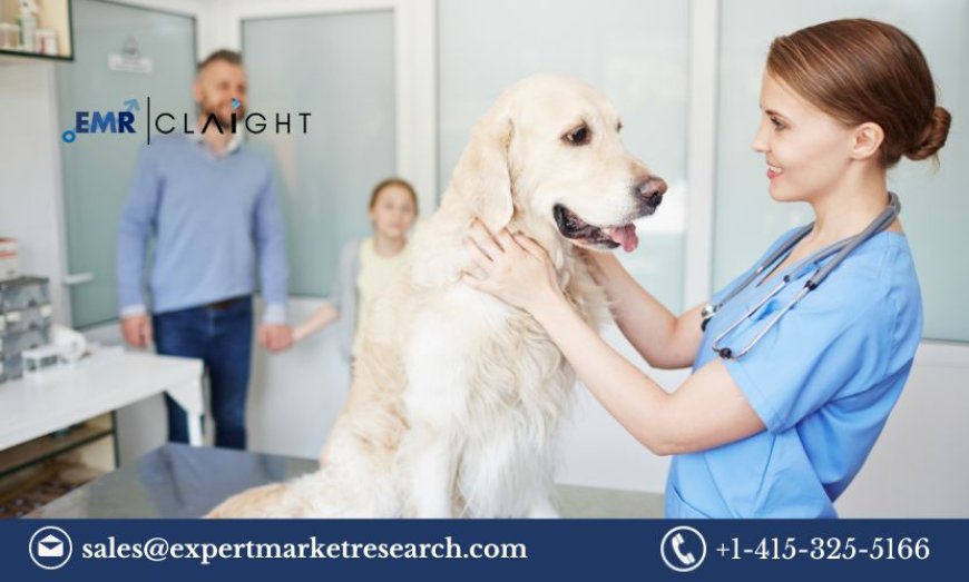 Veterinary Reference Laboratory Market Size, Share, Trends and Growth 2024-2032