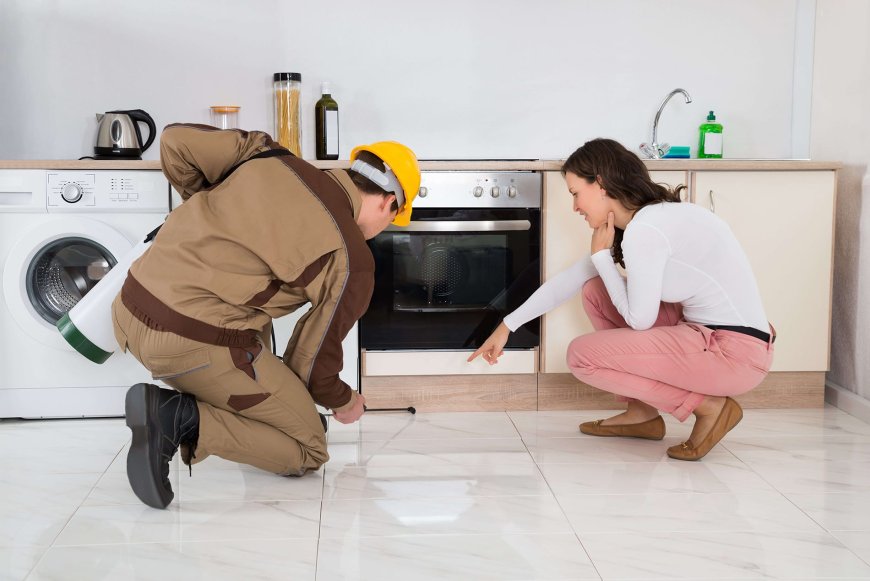 Why Hire Pros for Pest Control and How to Choose the Right Company?