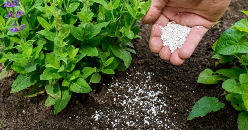 Peru Fertilizer Market: Growth Prospects and Key Insights