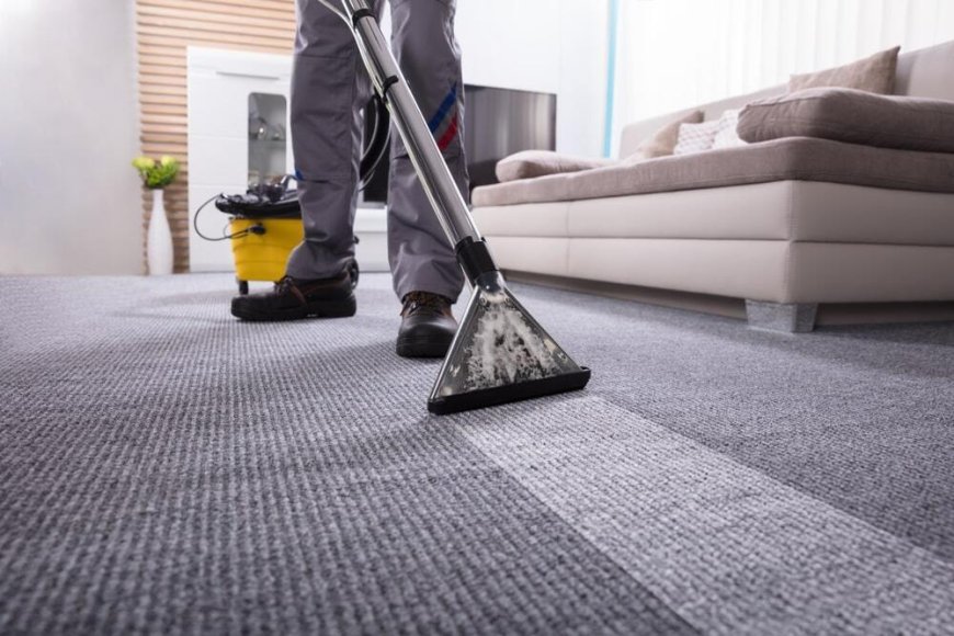 The Importance of Carpet Cleaning in Maintaining a Beautiful Home