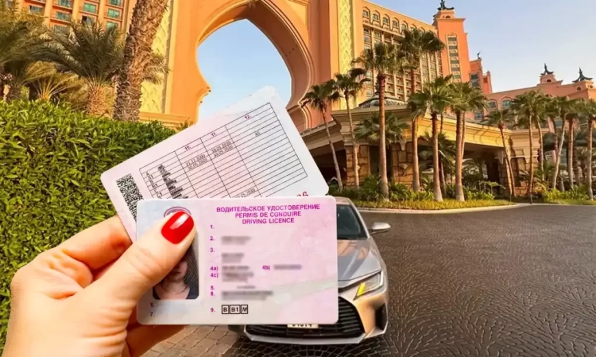 Translate Driving License Dubai for Russian: Beware of Red Flags