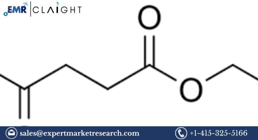 Ethyl Levulinate Market: A Comprehensive Overview of Size, Share, Report 2024