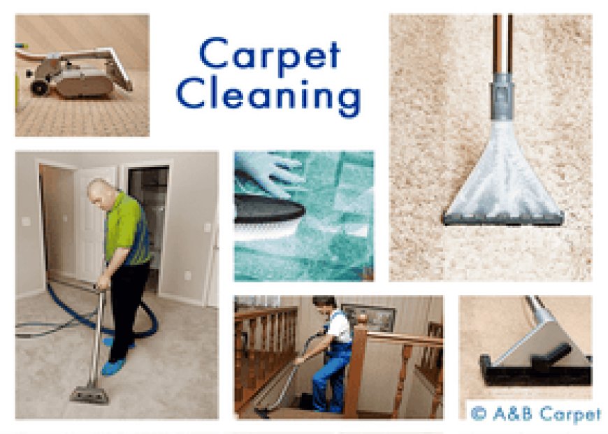 How to Choose a Carpet Cleaning Company in Brooklyn, NY