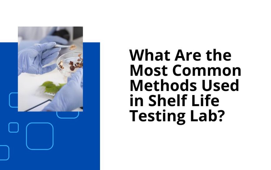 What Are the Most Common Methods Used in Shelf Life Testing Lab?