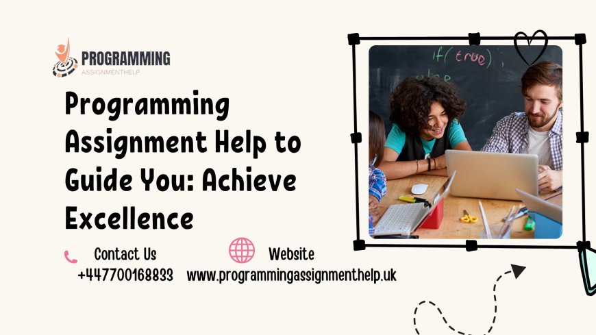 Programming Assignment Help to Guide You: Achieve Excellence