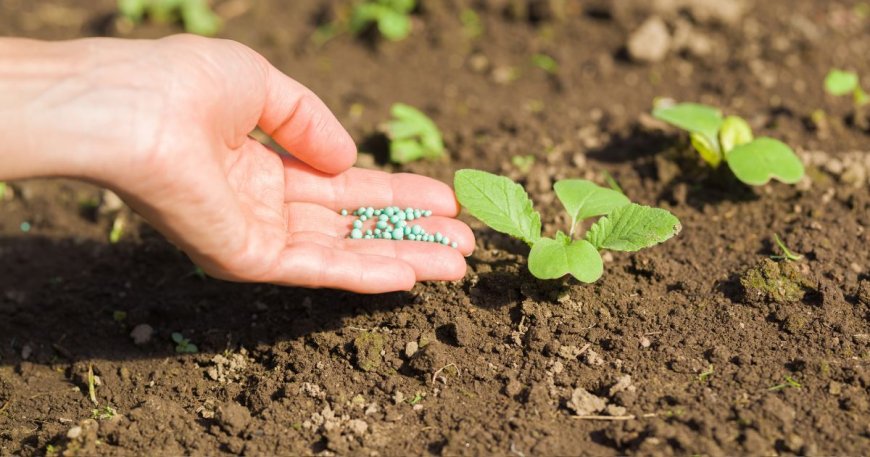 Mercado de Fertilizantes en Colombia: Innovación y Crecimiento Sostenible