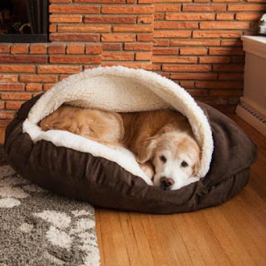 Ultimate Guide to Buying a Luxury Pet Bed