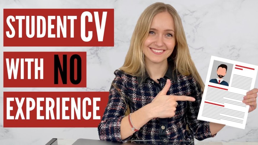 Is a Professional CV Worth the Investment?
