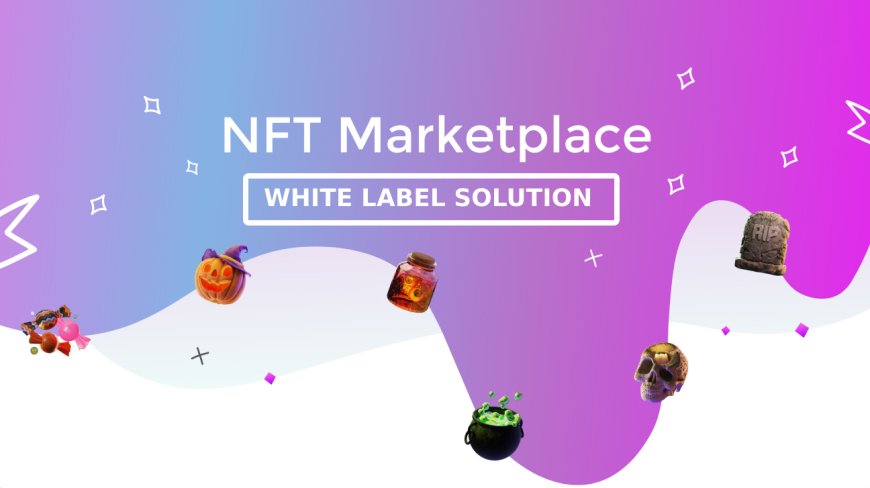 10 Features should a White Label NFT Marketplace have