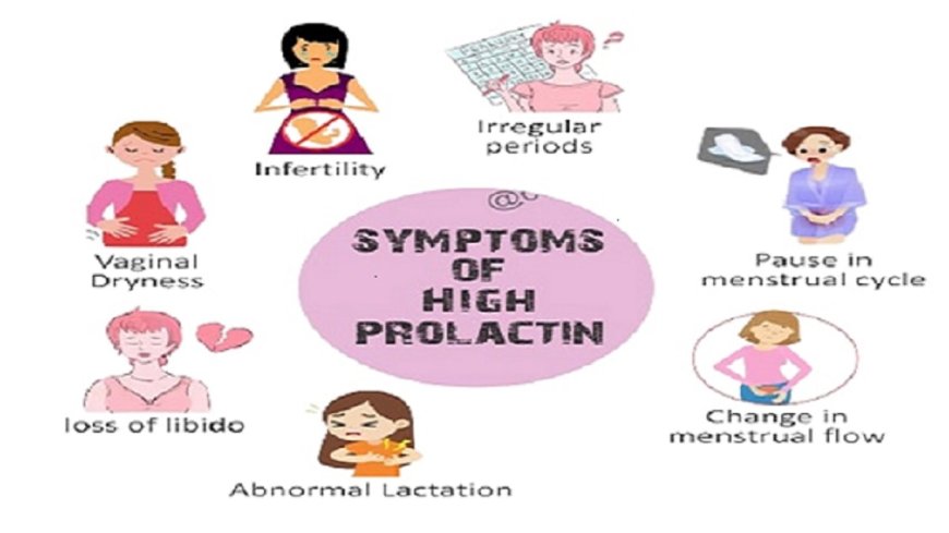 Hyperprolactinemia and Its Hereditary Components