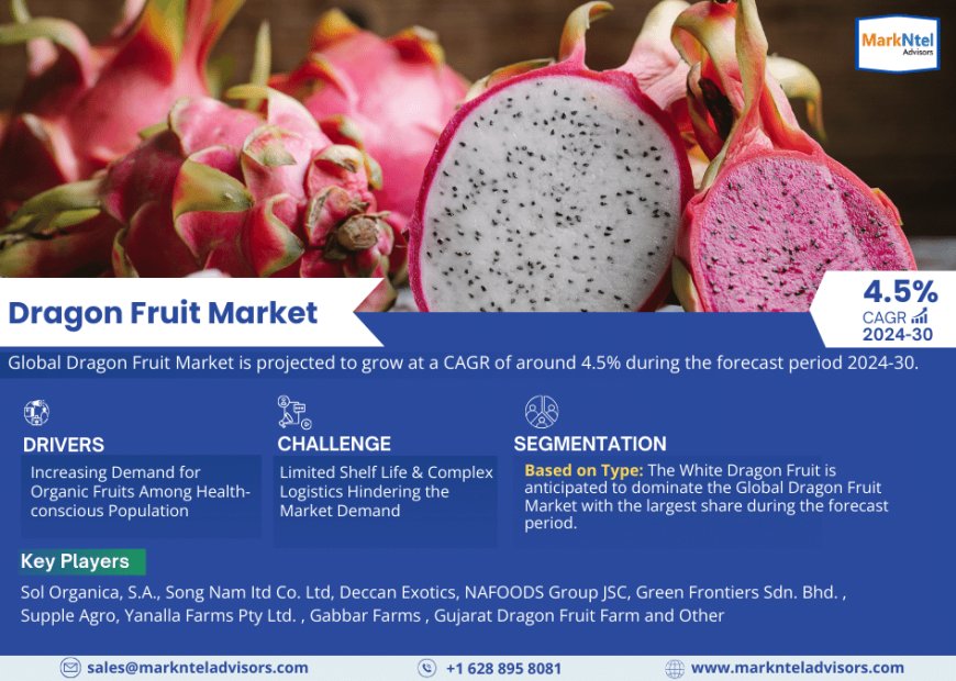 Dragon Fruit Market: Strategies for Sustaining 4.5% CAGR Forecast (2024-30)