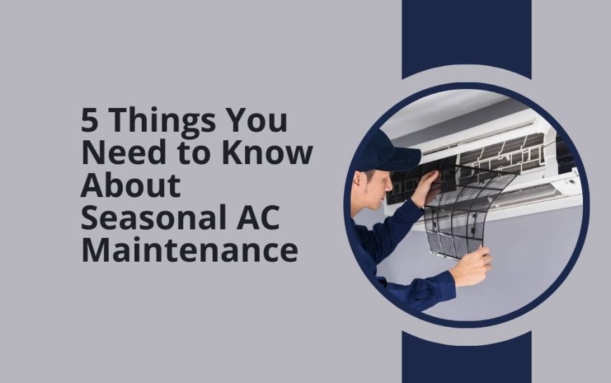 5 Things You Need to Know About Seasonal AC Maintenance