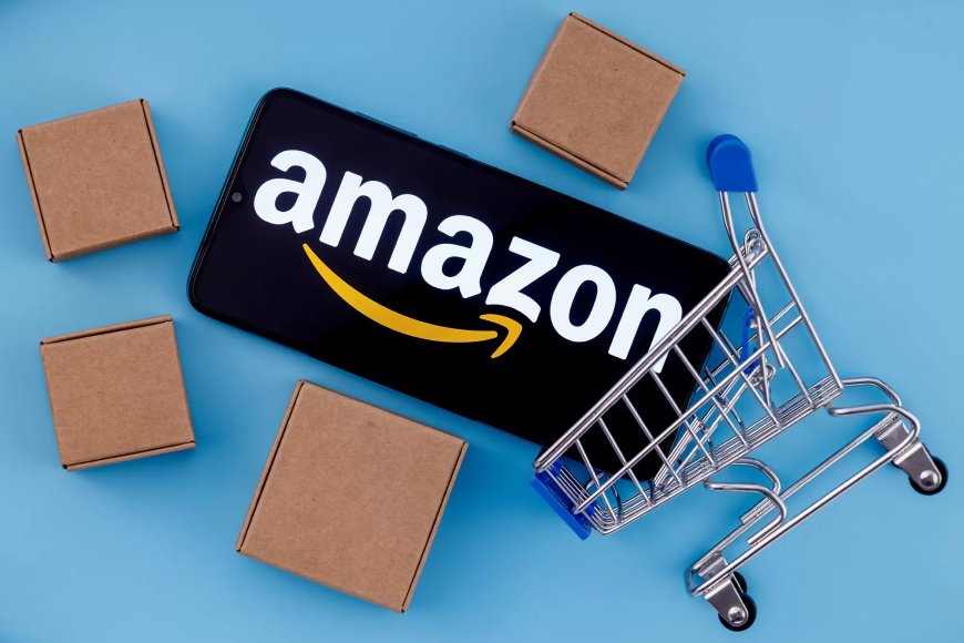 Why Do You Need an Amazon FBA Consultant?