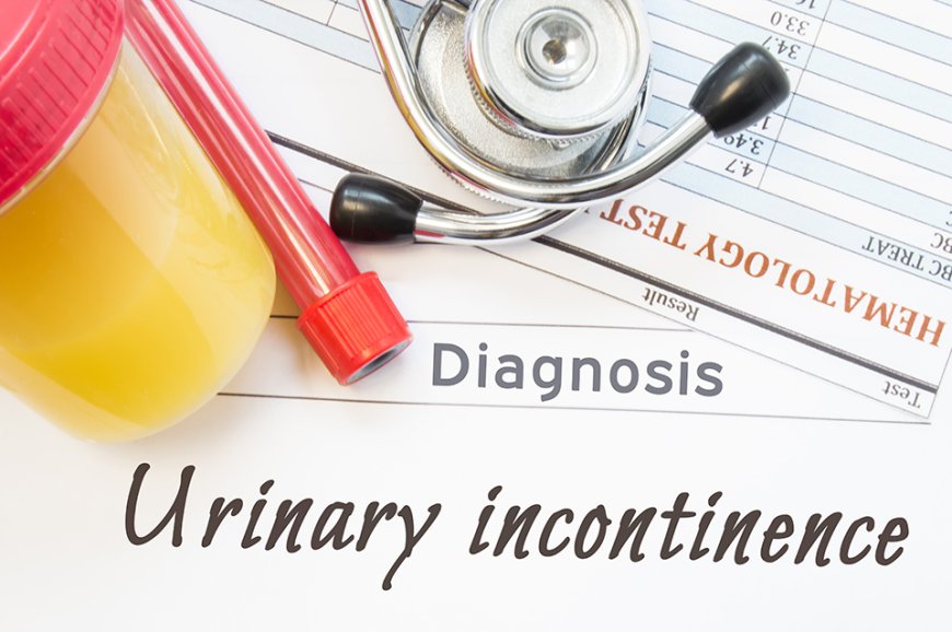 Detailed Explanation of the Urinary Incontinence Drugs Market (2024-2032)