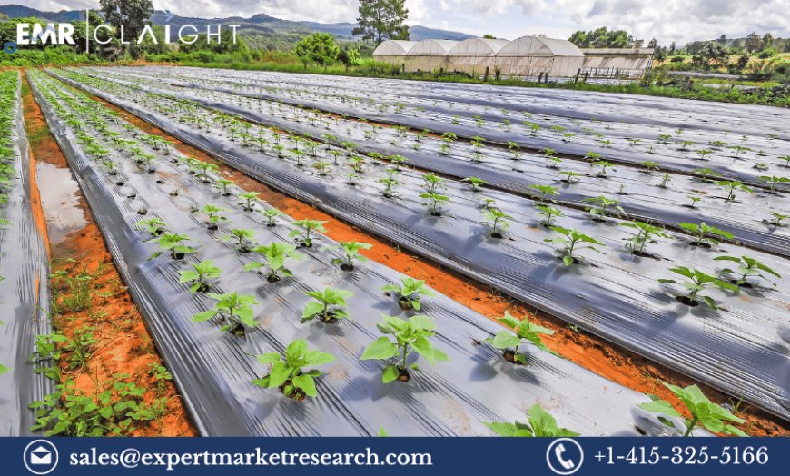 Agricultural Films and Bonding Market Analysis, Growth, Market Trends & Forecast 2024-2032