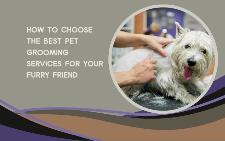 How to Choose the Best Pet Grooming Services for Your Furry Friend