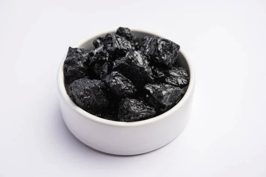 Discover the Healing Properties of Shilajit Ayurvedic