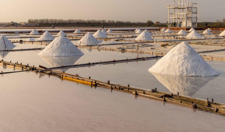 Beneficial varieties of salt manufactured by salt manufacturers