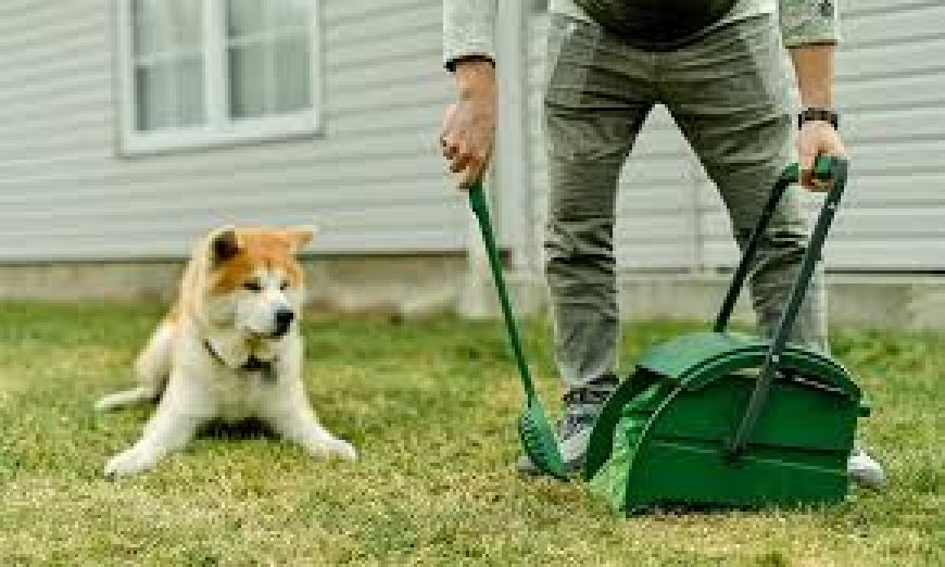 The Ultimate Guide to Dog Poop Cleaning Services in Schaumburg, IL