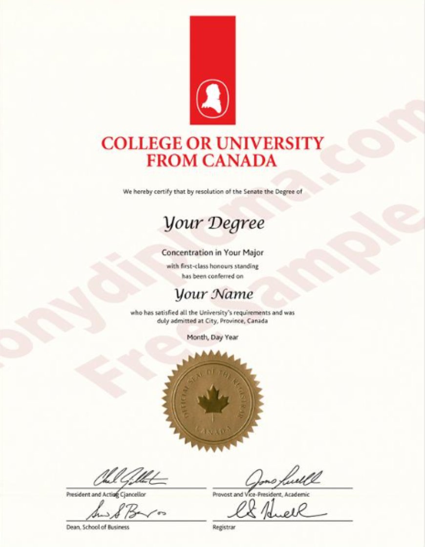 The Benefits and Practical Uses of Fake Diplomas and Certificates