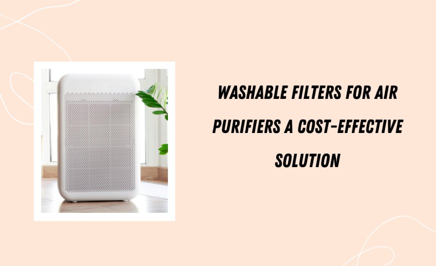 Washable Filters for Air Purifiers A Cost-Effective Solution