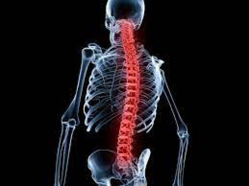 Baclofen for Backs: How 10 mg Can Alleviate Spinal Cord Injury and Muscle Pain