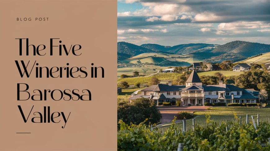 The Five Best Wineries in Barossa Valley