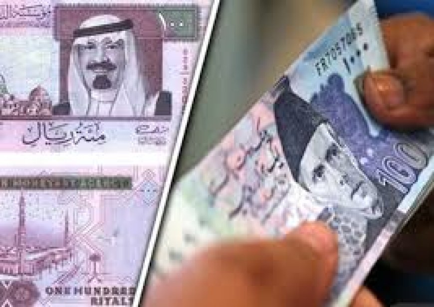 Understanding the Riyal to PKR Exchange Rate