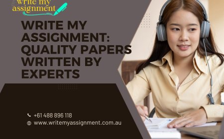 Write My Assignment: Quality Papers Written by Experts