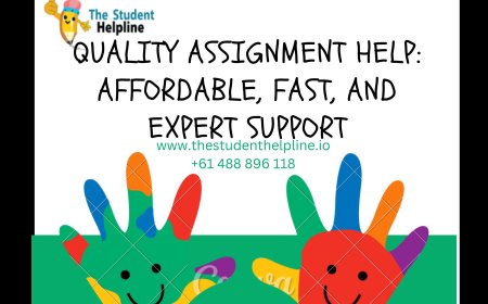 Quality Assignment Help: Affordable, Fast, and Expert Support