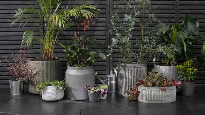 Ultimate Guide to Choosing and Maintaining Garden and Balcony Planters from Decor Corner l Buy Online