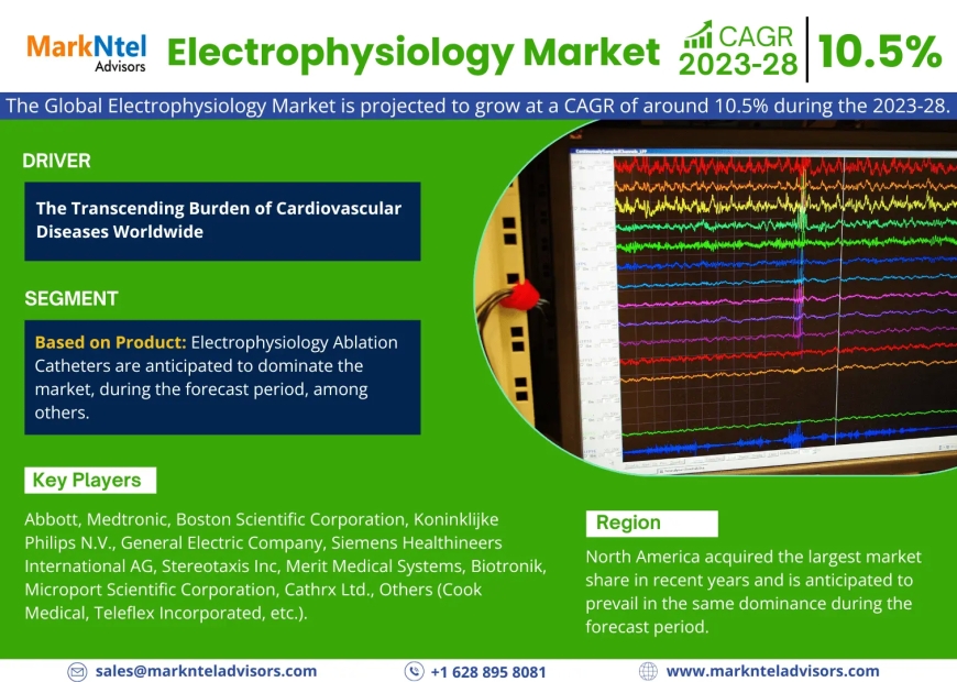 Electrophysiology Market 2023-2028 | Size, Demand, Key Players, Growth and Forecast – MarkNtel