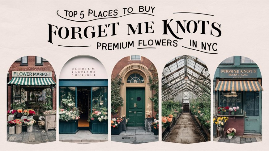 Top 5 Places to Buy Forget Me Nots Premium Flowers in NYC