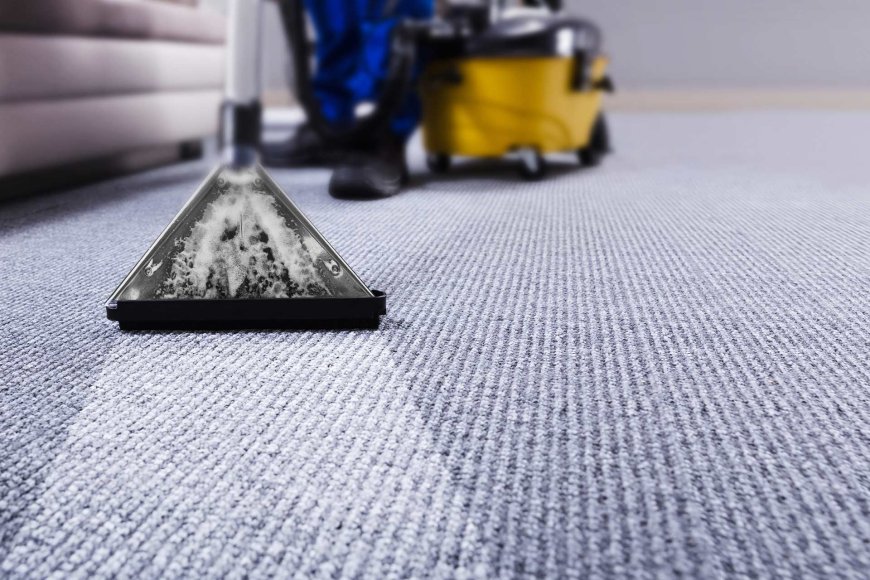 How Expert Carpet Cleaning Elevates Home Comfort