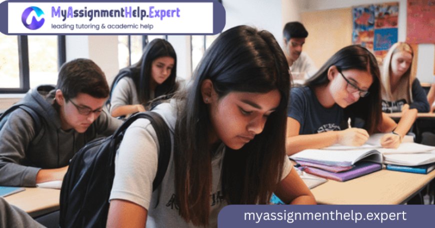 Programming Assignment Help: Your Guide to Achieving Academic Excellence