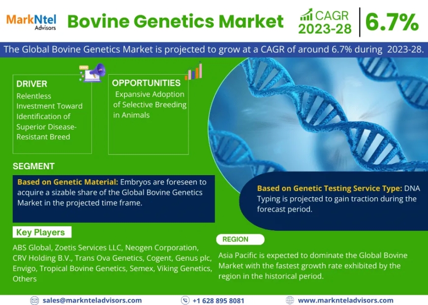 Bovine Genetics Market 2023-2028 | Size, Demand, Key Players, Growth and Forecast – MarkNtel