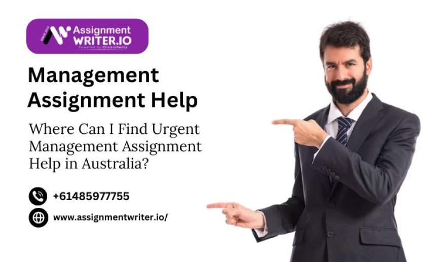 Where Can I Find Urgent Management Assignment Help in Australia?