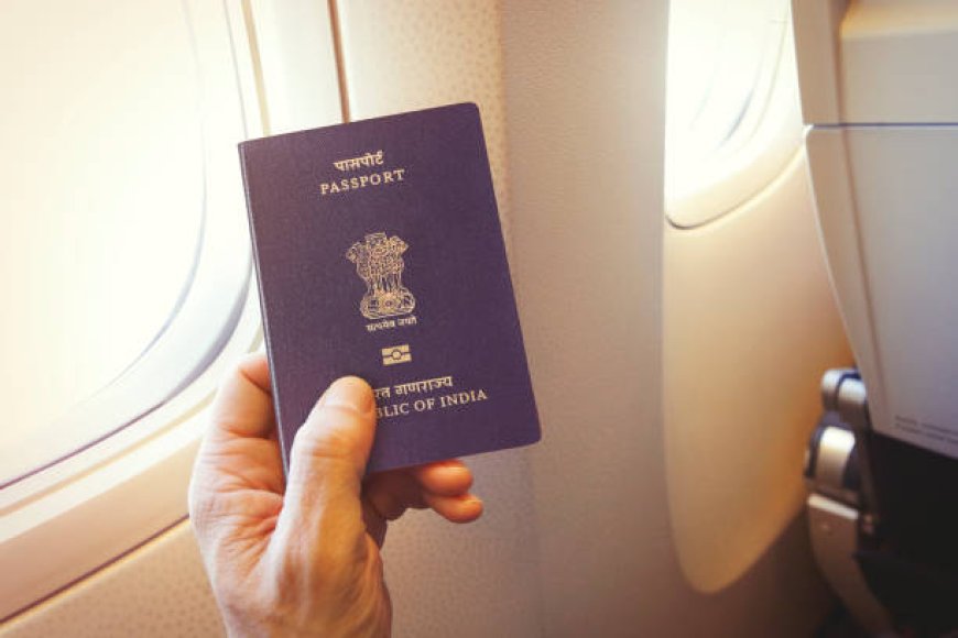 How Gabonese and Gambian Citizens Can Easily Obtain an Indian Visa