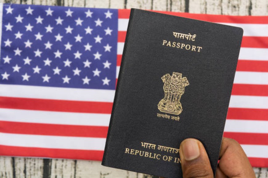 Key Steps for Thai and Mali Citizens to Obtain an Indian Visa